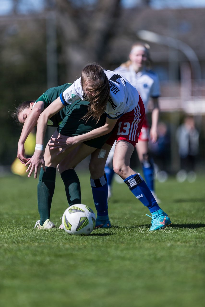 Bild 188 - wBJ Hamburger SV - WfL Wolfsburg : Ergebnis: 2:1